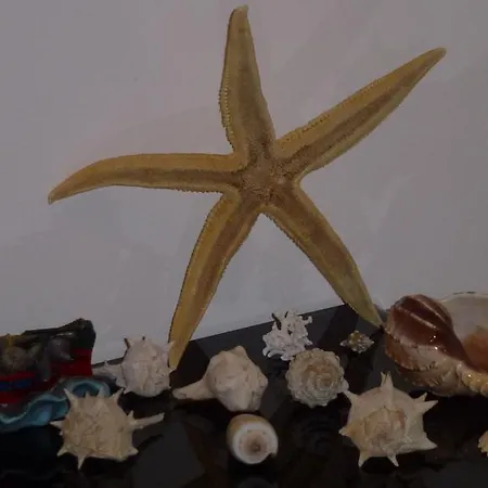 Sea Star Apartment Cefalù